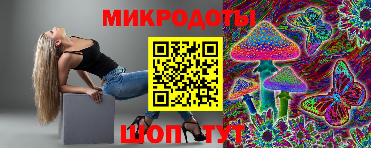 Галлюциногенные грибы прущие грибы  Псилоцибиновые грибы Psilocybine cubensis  Северобайкальск  Вход с VPN 